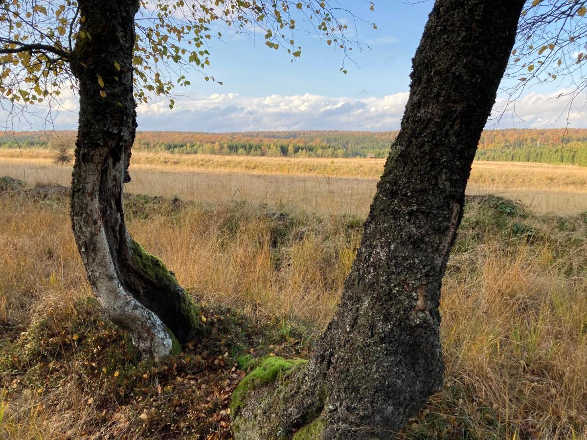 Le Relais Du Moustier Διαμέρισμα Grune Εξωτερικό φωτογραφία